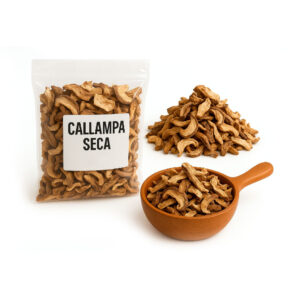 Callampa Seca (1 Kilo)